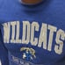 University of Kentucky Wildcats Crew Neck Sweater Vintage