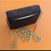 Coach Mini wallet on chain
