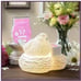 Scentsy warmer