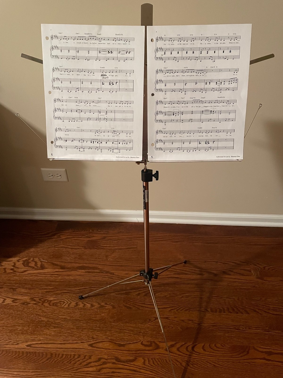 On-Stage Stands music stand. includes carry case with handle. Like new.