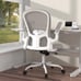 Ergonomic Office Chair,Lumbar Chair with Flip-up Arms and Adjustable Height-gray