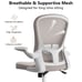 Ergonomic Office Chair,Lumbar Chair with Flip-up Arms and Adjustable Height-gray