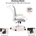 Ergonomic Office Chair,Lumbar Chair with Flip-up Arms and Adjustable Height-gray