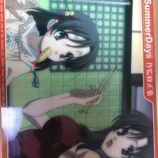Summer Days Visual Guide Supplement