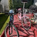 New two bicycles for adults **( ONLY PICKUP )**