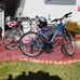 New two bicycles for adults **( ONLY PICKUP )**