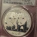 2010 China 10 yn Silver Panda 1 Oz. Coin GEM BU - 800,000 Mintage