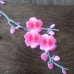 Multi color Cherry Blossom Appliques. #