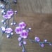 Multi color Cherry Blossom Appliques. #