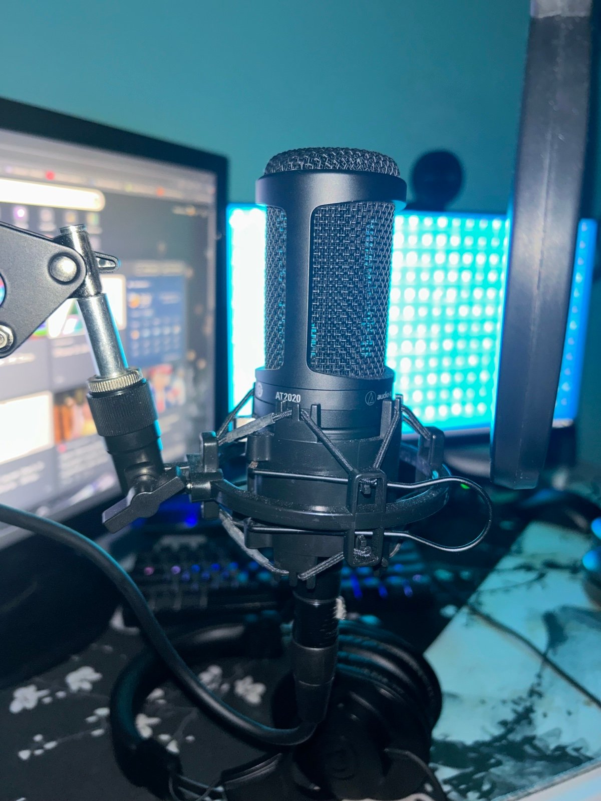 Microphone