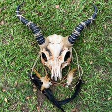 Demon Goat Skull Horned Cosplay mask
