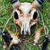 Demon Goat Skull Horned Cosplay mask