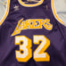 Magic Johnson Lakers throwback adidas je