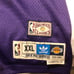 Magic Johnson Lakers throwback adidas je