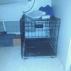 A dog cage 40 dollars