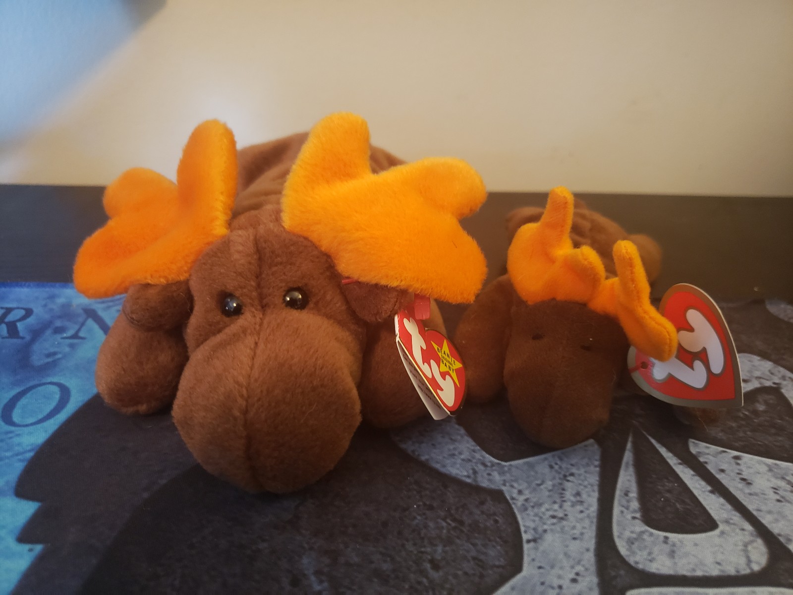 Ty Beanie Babies Chocolate The Moose with Teenie Moose MINT 1993
