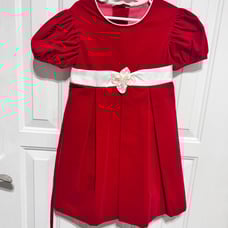 Stunning vintage red velvet girls dress