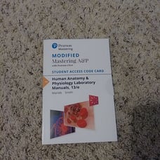 A & P ebook lab manual