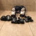 Skechers womens size 8.5 roller skates