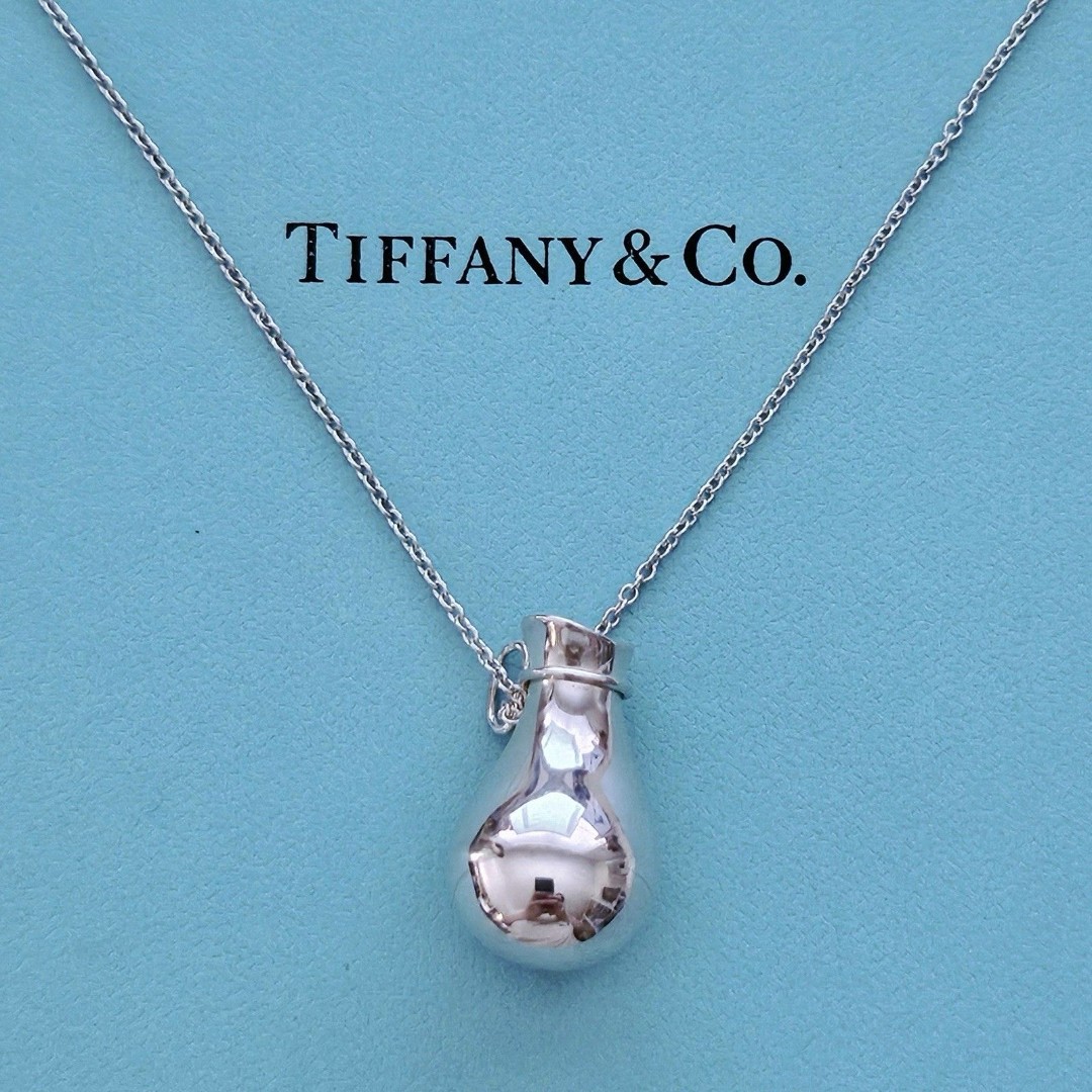 Vintage 1970s Tiffany & Co. Elsa Peretti Bottle Jug Sterling Silver Necklace