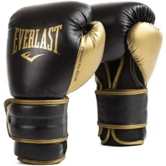 Everlast Balanced Synthetic Leather Boxing Gloves for Training, Black & Gold, 16