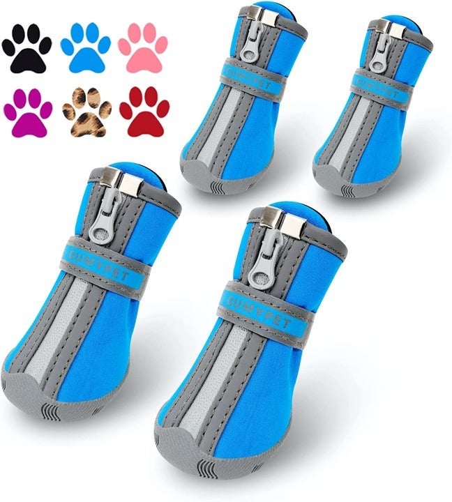 Dog Shoes for Small Dogs, Puppy Dog Boots & Paw Protectors for Winter Snowy Day