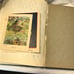 Bluebonnet 1927 yearbook, Mary Hardin Baylor College Belton, Tx annual antique