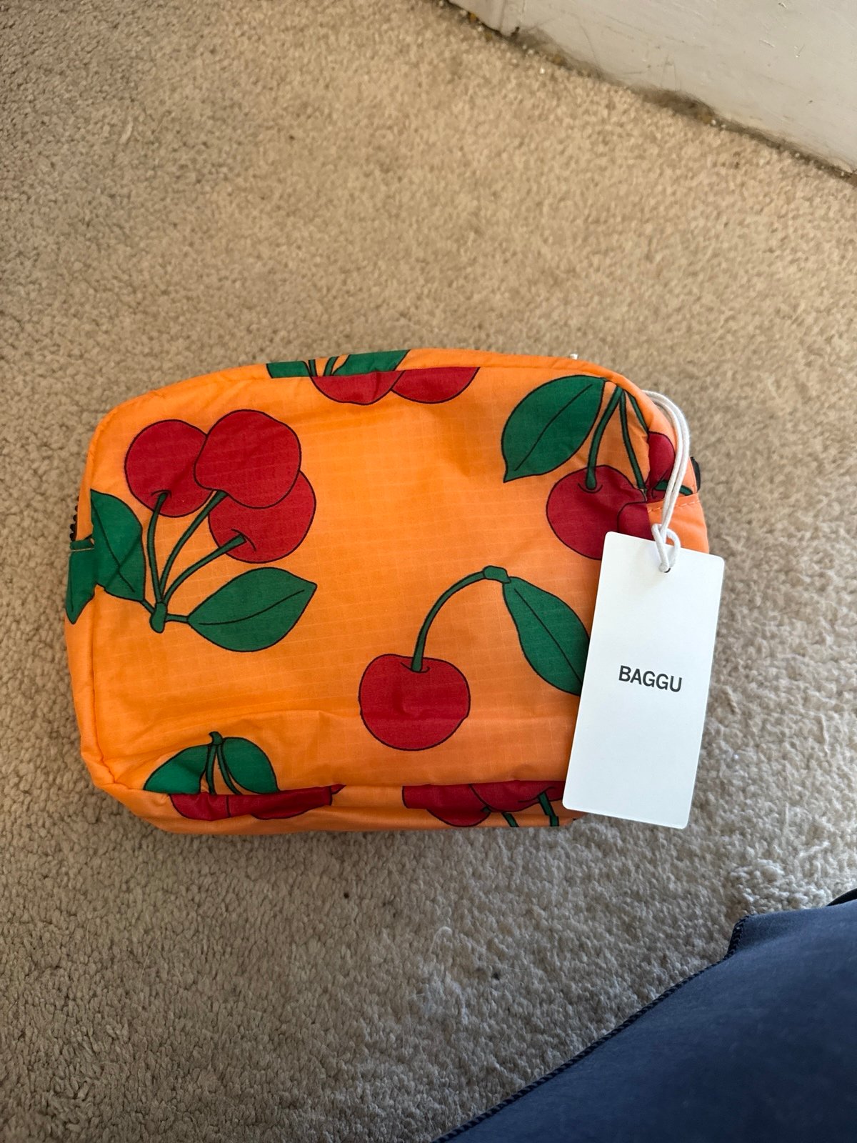 Baggu Puffy Fanny Pack in Sherbert Cherry