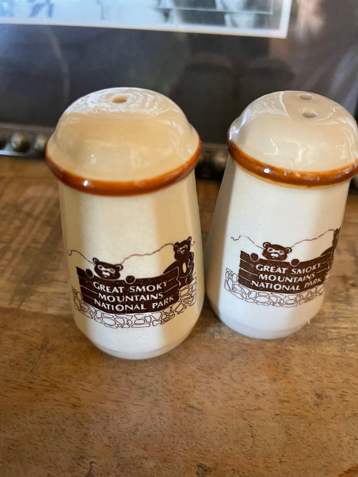 Vintage Smoky mountains salt pepper shakers