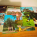 Vintage Lot of 15 Florida Theme Post Cards White Border Linen Kodachrome Miami