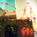 Vintage Lot of 15 Florida Theme Post Cards White Border Linen Kodachrome Miami