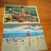 Vintage Lot of 15 Florida Theme Post Cards White Border Linen Kodachrome Miami