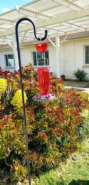 Kingsyard Glass Hummingbird Feeder for Outdoors Wild Bird Feeder with 6 Feeding