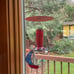 Kingsyard Glass Hummingbird Feeder for Outdoors Wild Bird Feeder with 6 Feeding