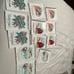 gather round homeschool preschool entire teacher and student set books books