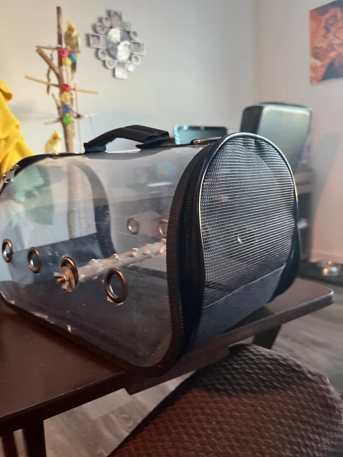 Blue Mars Bird carrier