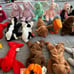 Beanie Babies