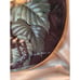 Miracles Of the Rainforest LENOX Collector Plates Set of 4