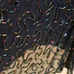 Silhouettes Navy Blue Beaded Cap Sleeve Aline Swing Dress Size XL