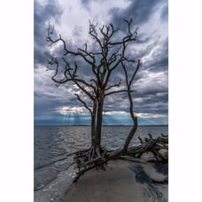 Wall Art 24x36 fine art print