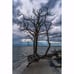 Wall Art 24x36 fine art print