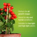 GE Grow Light For Flowering And Fruit Growing