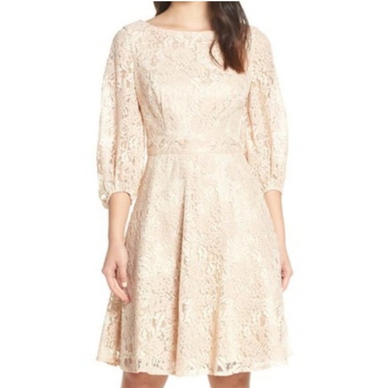Eliza J Fit and Flare Lace Dress Cream Mauve Size 6 NWOT Coquette