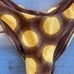 Frankies Bikinis Katarina Terry Cheeky Bikini Bottom in Golden Sun Print