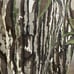 Cabelas Whitetail Vintage Realtree Camo Hunt Deer Camp Vintage USA Size 46