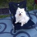 Mountain Tech Camping Chair - Low Profile Folding Chair for Camping