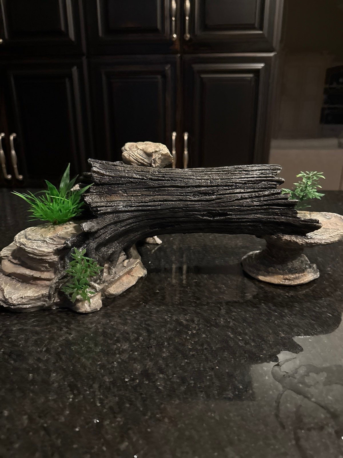 Reptile Log with rocks hideout