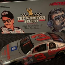 NASCAR Dale Earnhardt Platinum Series