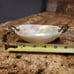 Rare Antique Mother Of Pearl & Sterling Silver Serving Caviar Bowl Dish 6.5