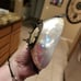 Rare Antique Mother Of Pearl & Sterling Silver Serving Caviar Bowl Dish 6.5